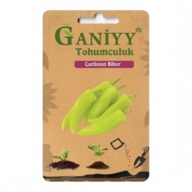  فلفل اخضر فاتح تركي 