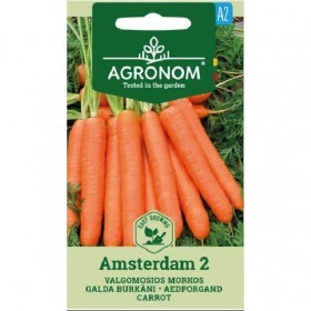  جزر أمستردام طويل 