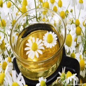  بذور عشبة البابونج (500+ بذرة ) 