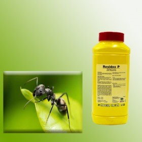  مبيد نمل فعال 