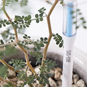  قلم قياس رطوبة التربة ( صغير ) 