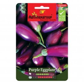  باذنجان بنفسجي 