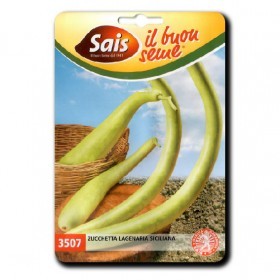  قرع اخضر طويل إيطالي 