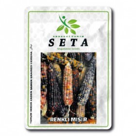  ذرة ملونه تركية 