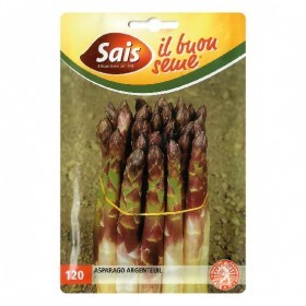  هيليون إيطالي 