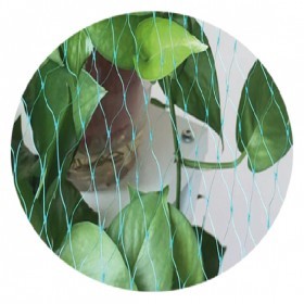  شبك حماية المزروعات من الطيور  (2x5 متر) 