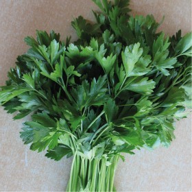  بقدونس برج الثور تركي 