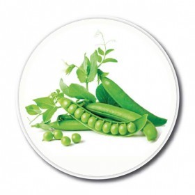  بزاليا اديتيا 50 بذرة 