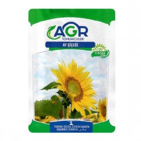  دوار الشمس  تركي 