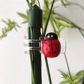  كلبس ربط الاغصان على شكل دعسوقة 