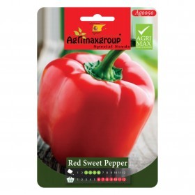  فلفل حلو أحمر 