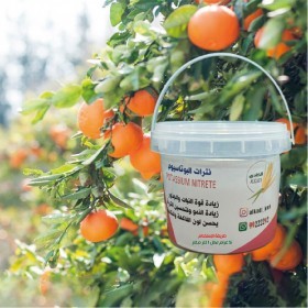  نترات البوتاسيوم 