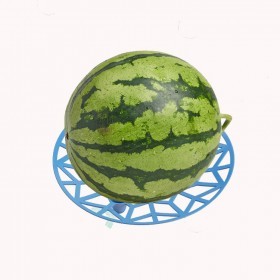  قاعدة البطيخ والقرع 