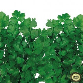  كزبرة هندي 15 جرام 