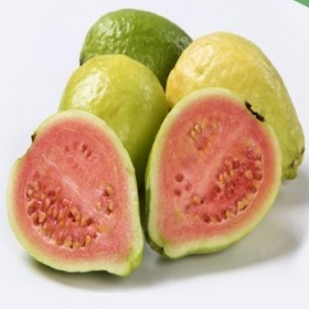  بذور الجوافة الحمراء ( 15 بذرة ) 