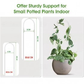  ستاند نبتة اكليرك شفاف عدد 2 