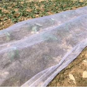  غطاء حماية النباتات بالمتر عرض 1 متر 