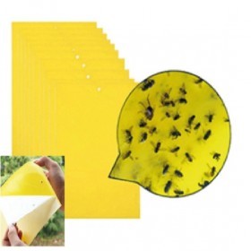  ملصق للذباب والحشرات ( 20 قطعة ) 