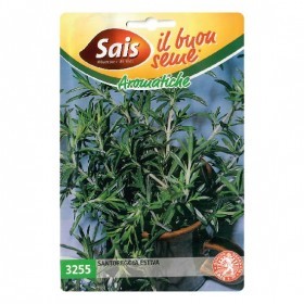  زعتر بري إيطالي 