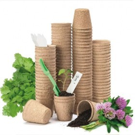  أصيص ورق صغير 6 سم 24 حبة قابل للتحلل 