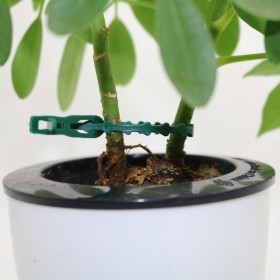  بلاستيك تربيط الأغصان عدد 25 قطعة 