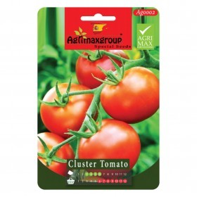  طماطم دائرية عنقودية حمراء 