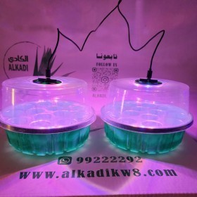  صينية تشتيل دائرية 13 عين مع إضاءة عدد 2 