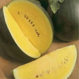  بطيخ  دايموند أصفر( ١٥ بذرة ) 