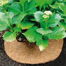  غطاء لحماية جذور النبات 35 سم 