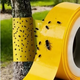  ملصق حشرات على الوجهين طول 5 متر عرض 20 سم 