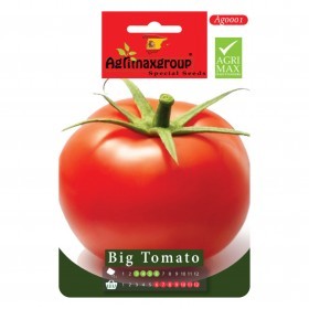  طماطم دائرية كبيرة 