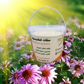  سلفات الماغنيسوم 