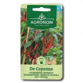  فلفل حار طويل احمر 