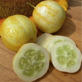  بذور خيار الليمون ( 15 بذرة ) 