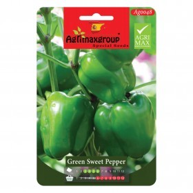  فلفل حلو أخضر 